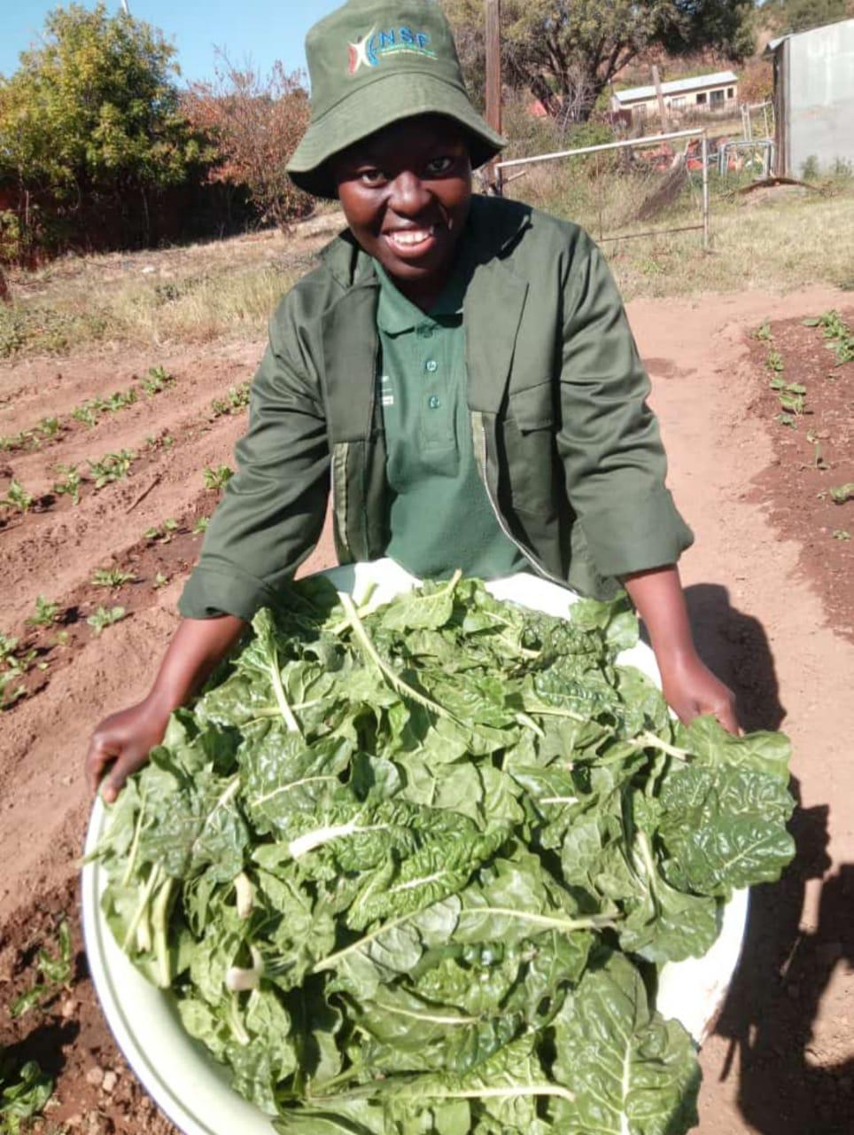 Agriculture programme — student with a fresh harvest of leafy vegetables